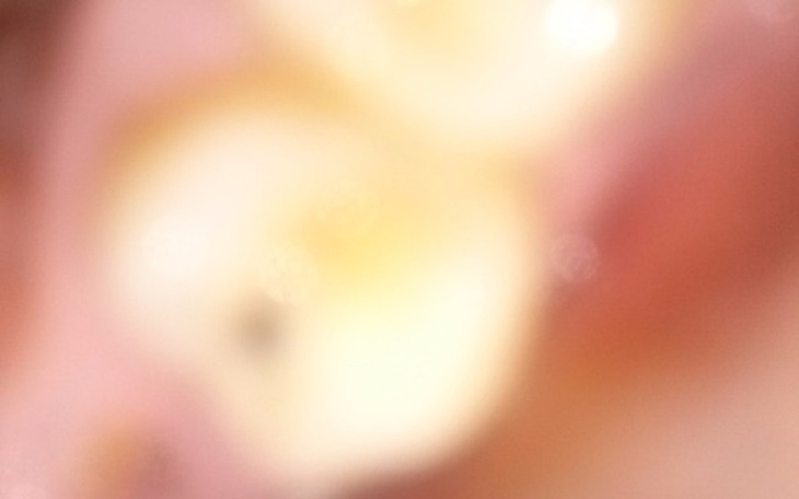 Zbiórka bez ponizania - zdjęcie główne