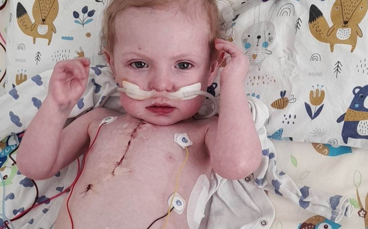 Zbiórka Aby Franio mógł godnie żyć - zdjęcie główne