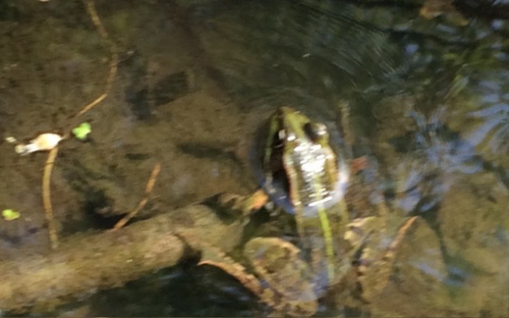 Zbiórka Zbieramy dla chorych dzieci - zdjęcie główne