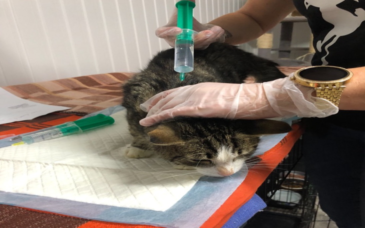 Zbiórka Antoś chce żyć - zdjęcie główne