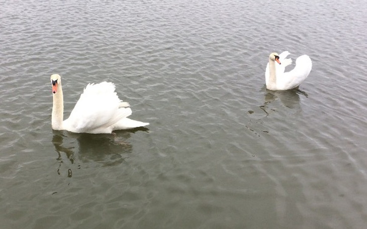 Zbiórka Chce zmienić swoje życie - zdjęcie główne