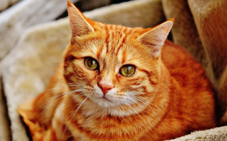 Zbiórka podróż w góry - zdjęcie główne