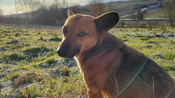 Zbiórka Edek o którym nikt nie pamięta - miniaturka zdjęcia