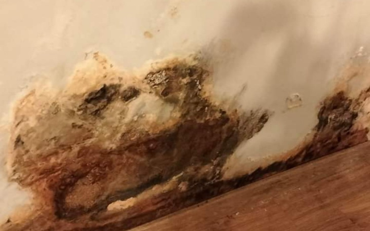 Zbiórka Dla samotnej matki trójki dzieci - zdjęcie główne