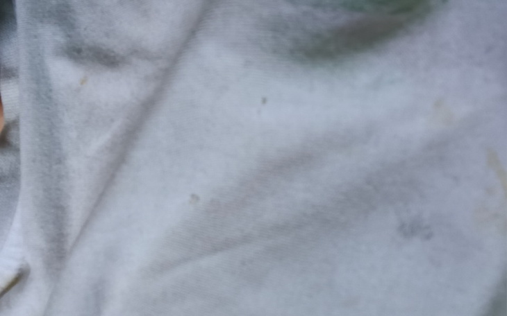 Zbiórka Niemam pieniędzy - zdjęcie główne