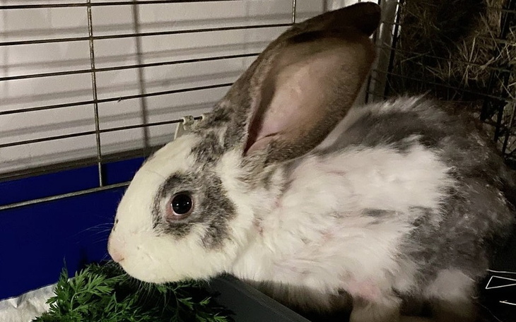 Zbiórka Burza i gromy - interwenciaki UP - zdjęcie główne