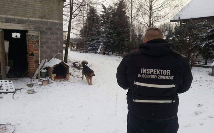 Zbiórka Zimowy patrol dla zwierząt - zdjęcie główne