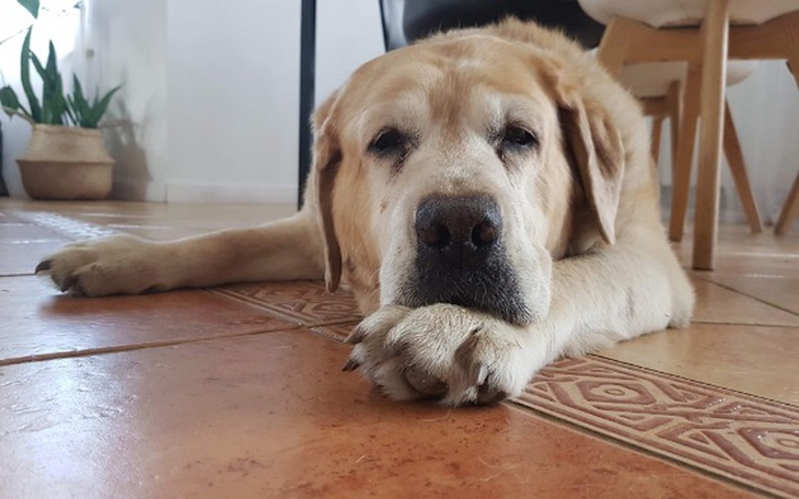 Zbiórka Historia Doci-chorej seniorki. - zdjęcie główne