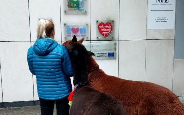 Kobieta z plecakiem stoi przed budynkiem, obok niej dwa konie.