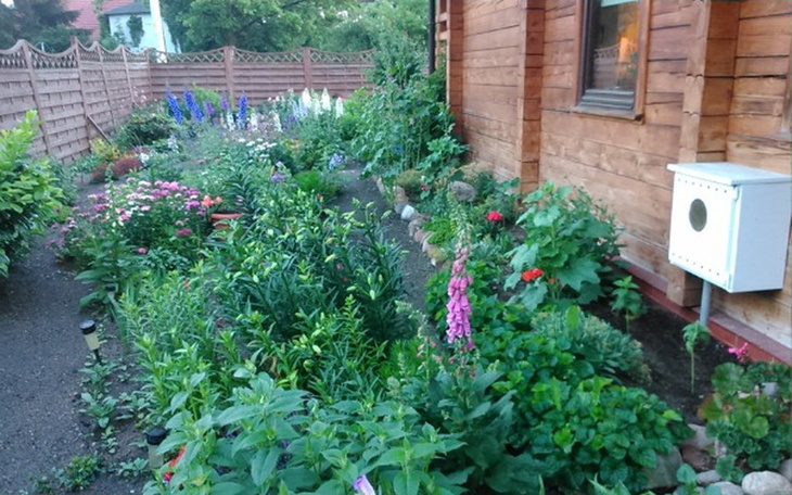 Zbiórka remont drewnianego domu - zdjęcie główne