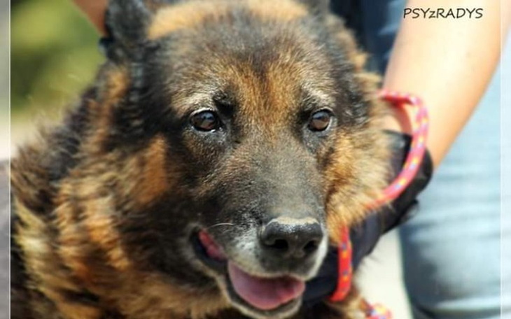 Zbiórka Pomoc dla Komandora z Radys - zdjęcie główne