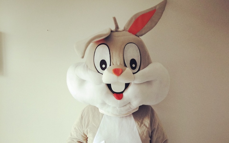 Zbiórka psierociniec - zdjęcie główne