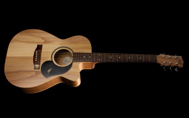 Zbiórka rozwój muzyczny - zdjęcie główne