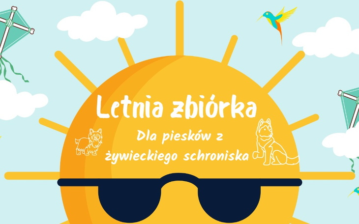 Zbiórka Letnia zbiórka dla piesków - zdjęcie główne