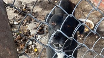 Zbiórka Piekło za kratami Bossa - miniaturka zdjęcia