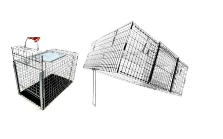Metalowa klatka, używana do łapania zwierząt.