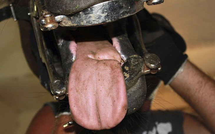 Zbiórka Wszyscy go kochali... - zdjęcie główne