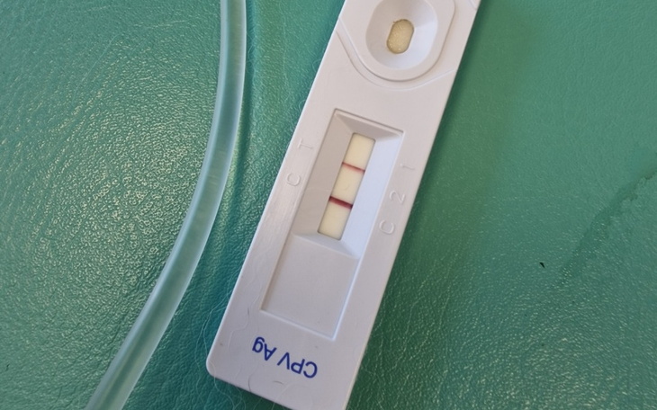 Zbiórka Nie tak miało być- parwowiroza - zdjęcie główne