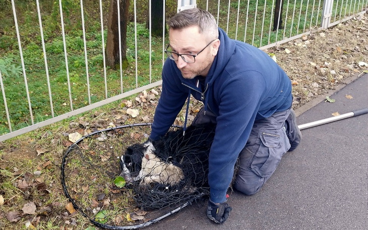 Zbiórka Urodziny Dziadka Tomka - zdjęcie główne