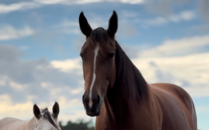 Zbiórka Pomoc dla Puenty - zdjęcie główne