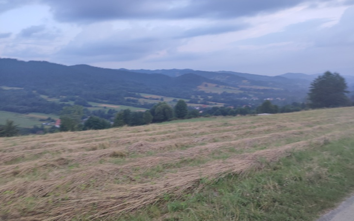 Zbiórka Firma 1 - zdjęcie główne