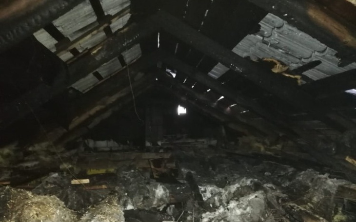 Zbiórka Pomóżmy Gosi i Krzysiowi - zdjęcie główne