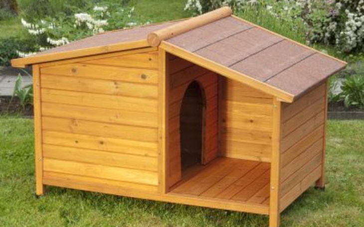 Zbiórka Buda, która może uratować życie - zdjęcie główne