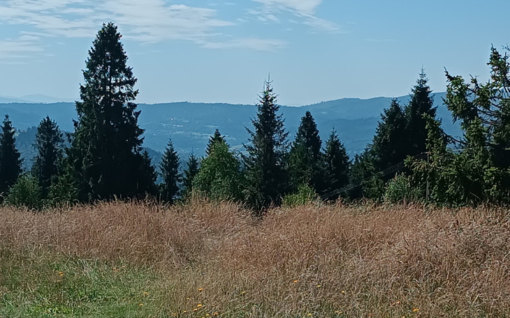 Zbiórka Pomóżcie mi założyć firmę - zdjęcie główne