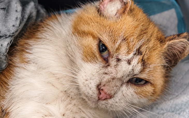 Bliskie ujęcie pary trzymającej ręce z czerwonym sercem w tle