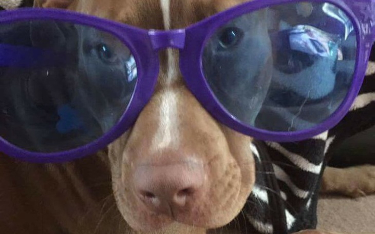 Zbiórka Lucky - zdjęcie główne