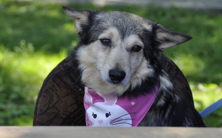 Zbiórka Pomocy Zbieramy na opłaty - zdjęcie główne