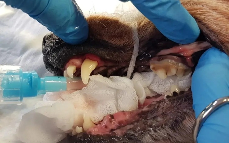 Zbiórka Teraz trzeba wszystko zapłacić - zdjęcie główne