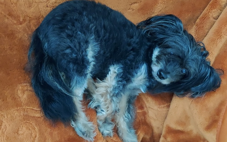 Zbiórka Pomóż Sandrze. - zdjęcie główne