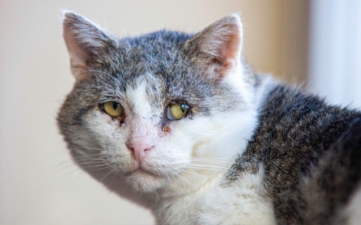 Zbiórka Mruczarnia listopad - zdjęcie główne