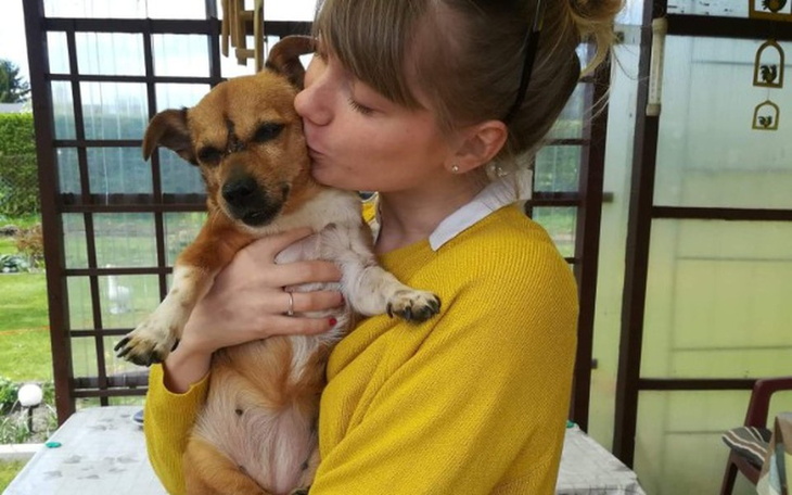 Zbiórka Pomoc dla Ciapy - zdjęcie główne