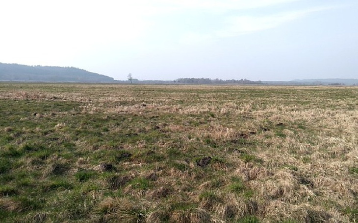 Zbiórka Budowa stajni - zdjęcie główne