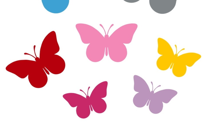 Zbiórka Motylkowy budżet uzupełnień - zdjęcie główne