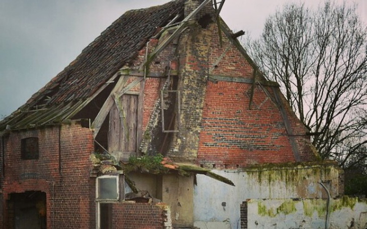 Zbiórka Pomoc dla mojej babci Alusi - zdjęcie główne