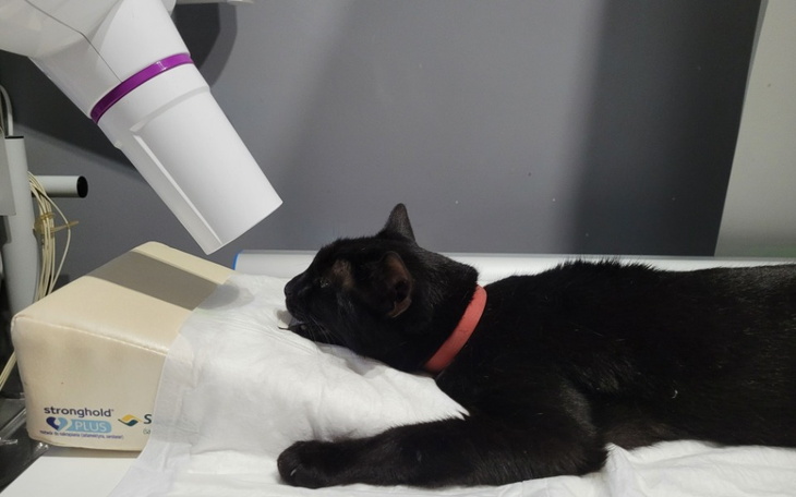 Zbiórka By już NIE BOLAŁO - zdjęcie główne