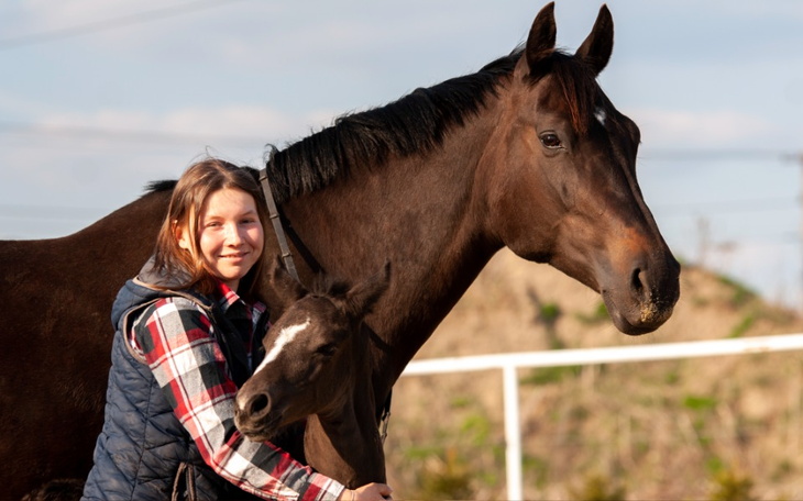 Zbiórka Przyszłość osieroconego źrebaka - zdjęcie główne