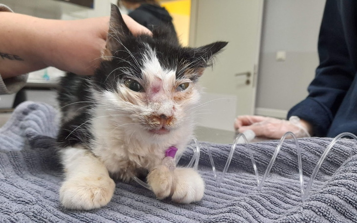 Zbiórka Ostatnie długi - zdjęcie główne