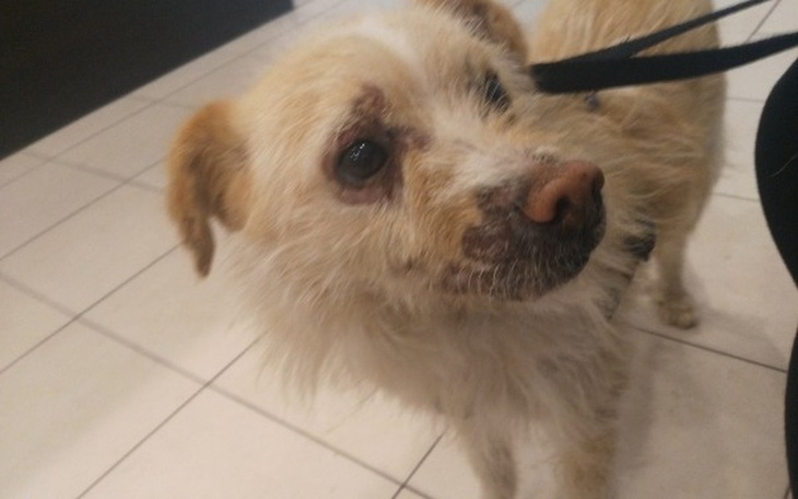 Zbiórka Pomóż mi wrócić do zdrowia.. - zdjęcie główne