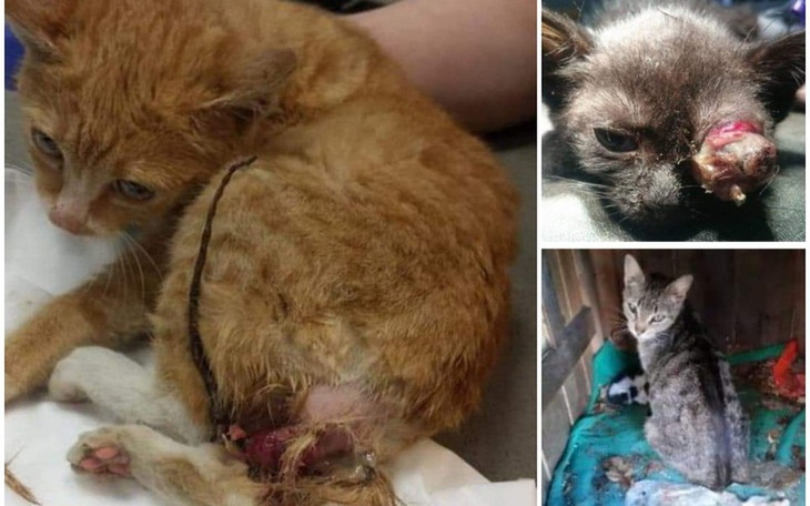 Zbiórka Faktury - zdjęcie główne