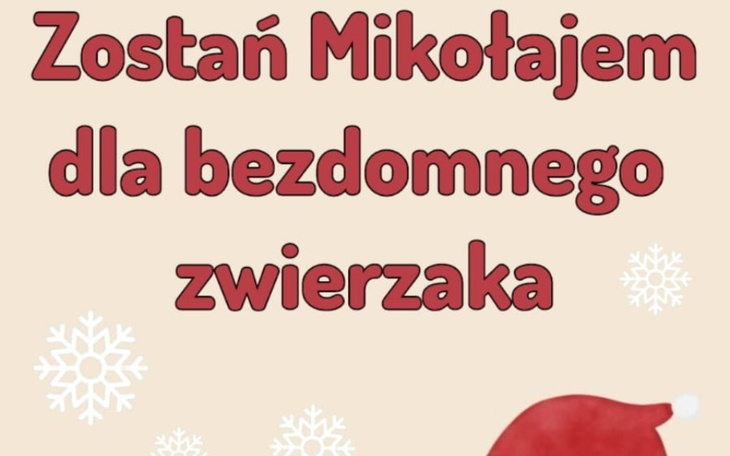 Zbiórka Zostań Mikołajem dla bezdomniaka - zdjęcie główne