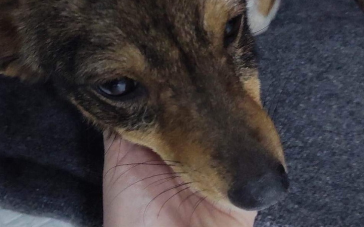 Zbiórka Pomóż Mnie wyleczyć - zdjęcie główne