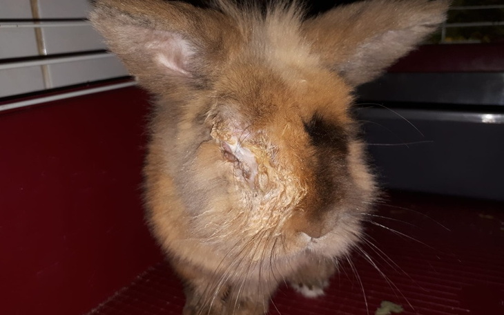 Zbiórka Zbieramy na długi - zdjęcie główne