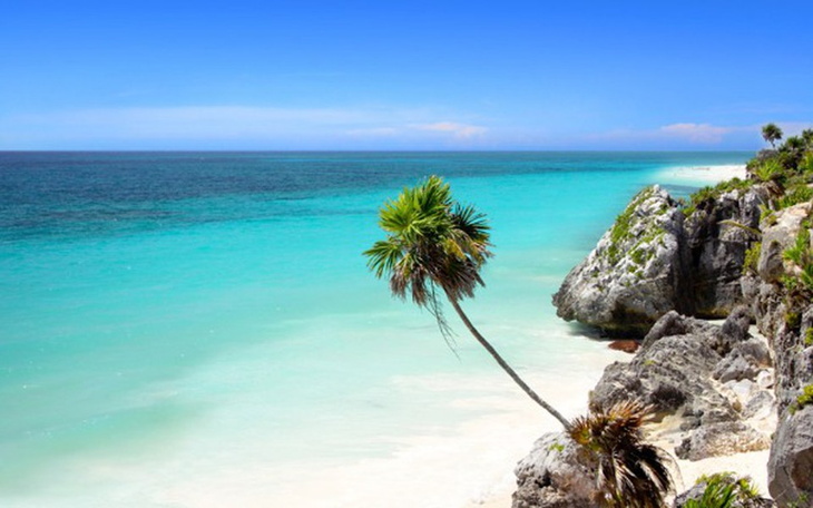 Zbiórka Egzotyczna podróż poślubna - zdjęcie główne