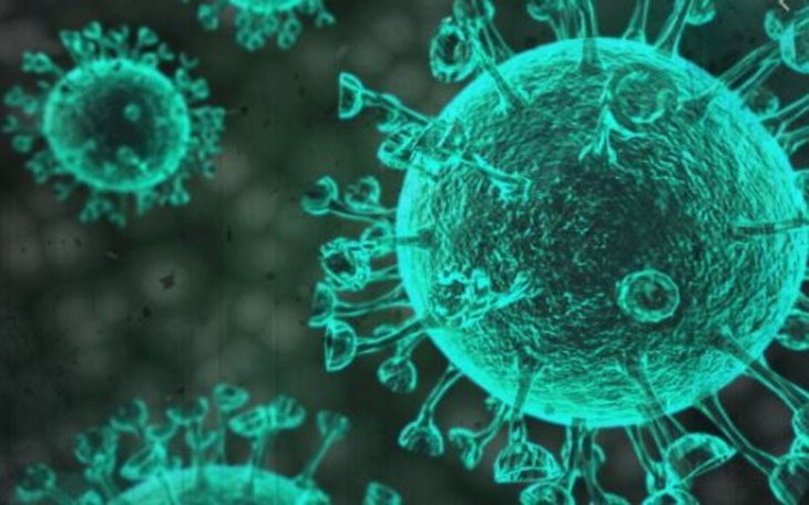 Zbiórka Brak środków do życia wirus - zdjęcie główne