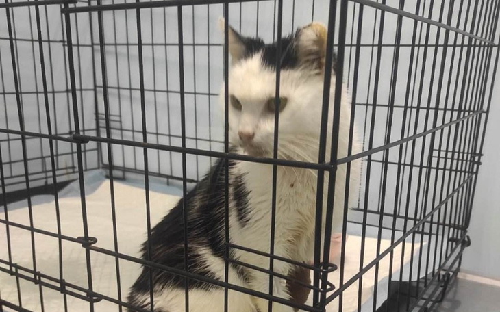 Zbiórka Dla Balbinki - zdjęcie główne