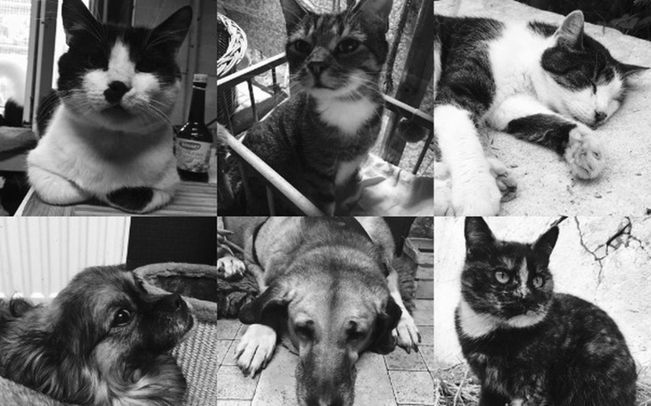 Zbiórka Bez waszej pomocy zmarzniemy... - zdjęcie główne